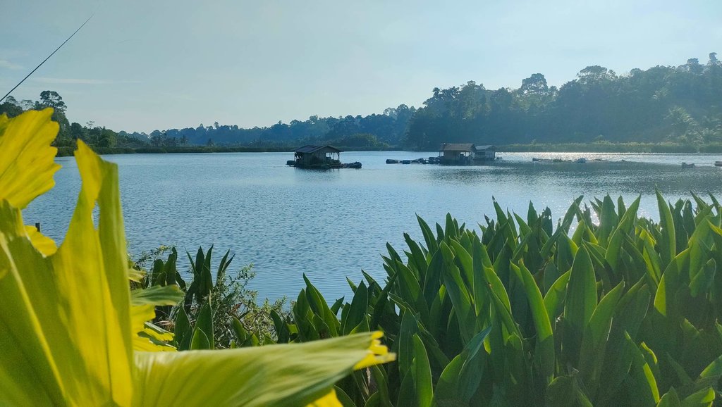 Ulu Tulung Danau Kuranding