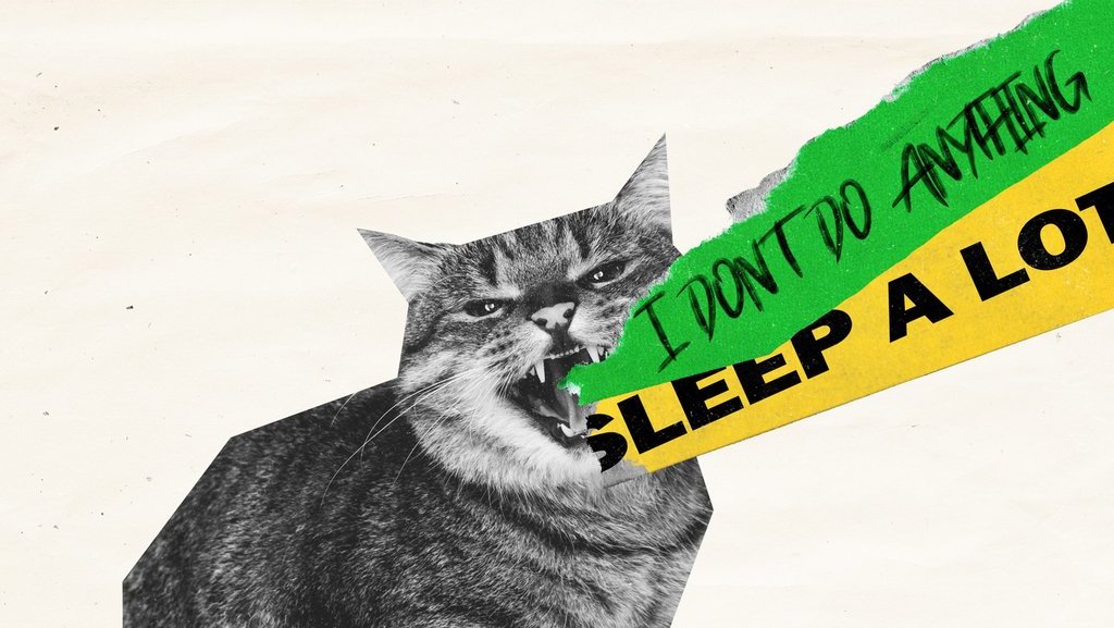 diajeng Sisi Lain Kemalasan