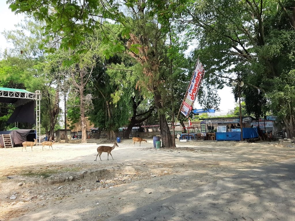 Taman Sriwedari