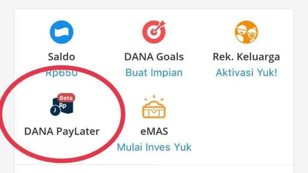 Periksa Fakta Pendaftaran Paylater Dana