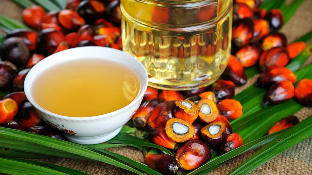 Ilustrasi minyak kelapa sawit. FOTO/iStock Header BPDPKS 2