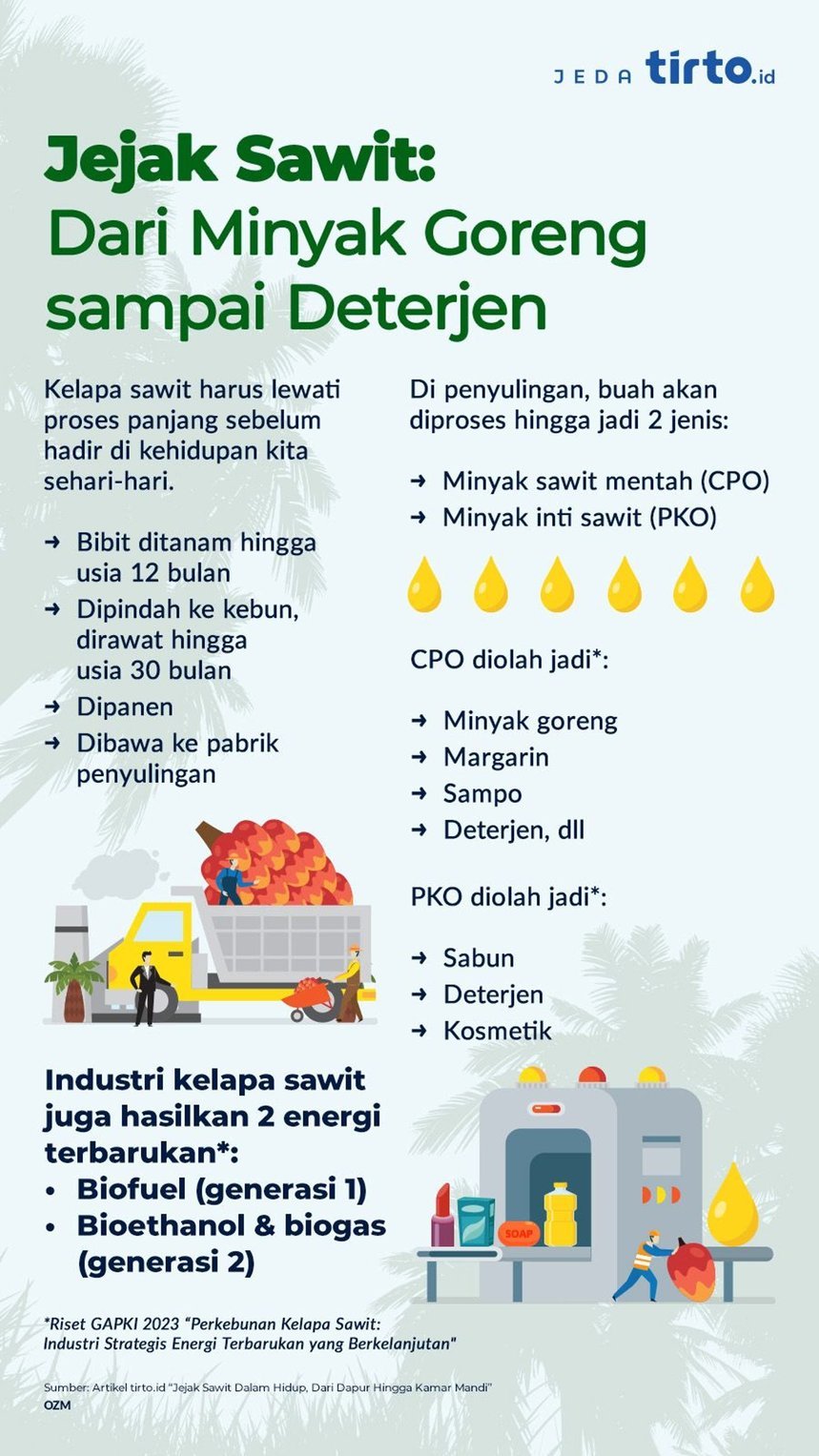 infografik BPDPKS 2