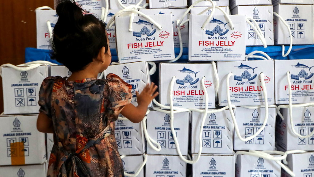 Upaya pencegahan stunting di Banda Aceh