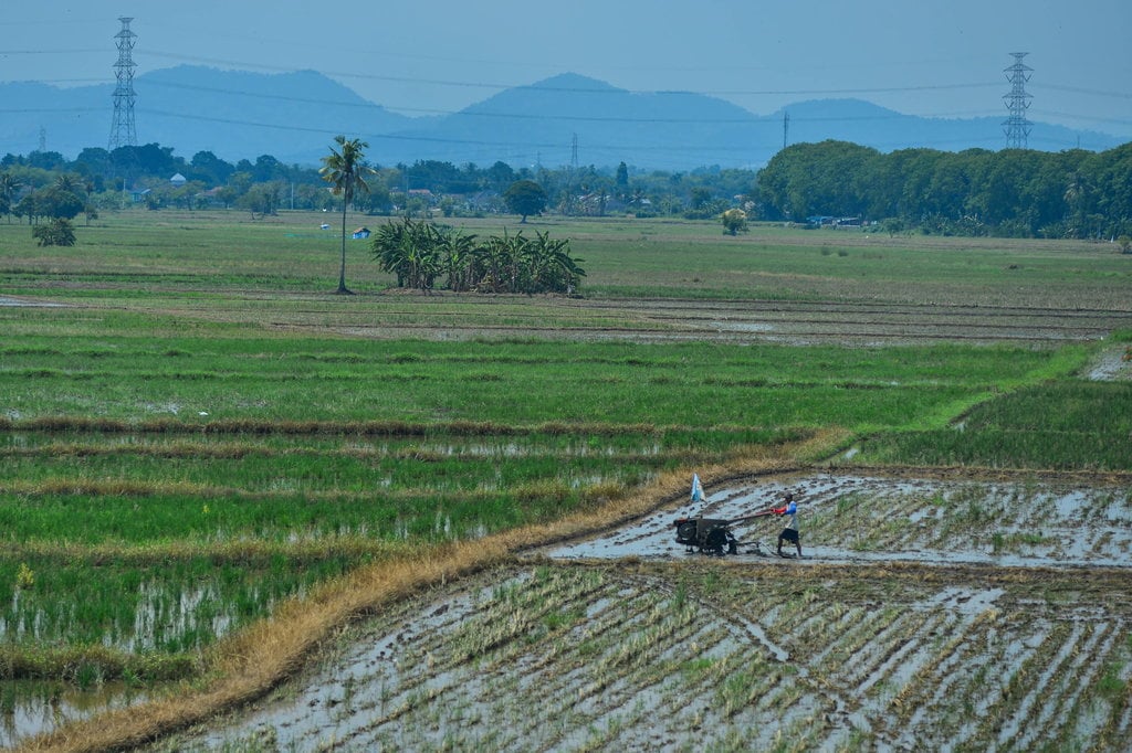 Target penyediaan alsintan Kementerian Pertanian tahun 2025