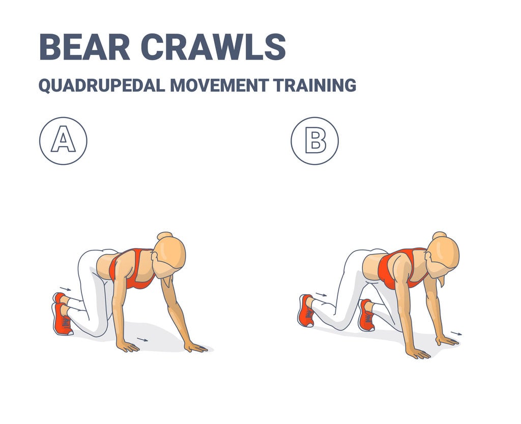 Ilustrasi gerakan olahraga Bear crawls