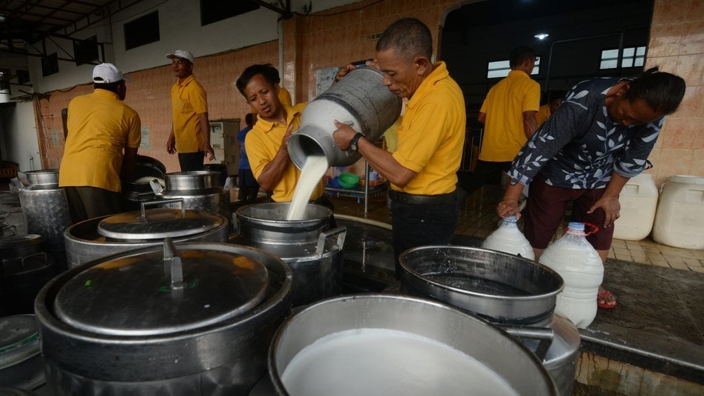 Kementerian Koperasi mendorong KUD dapat mengolah susu sapi 