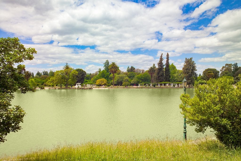 Danau San Martin