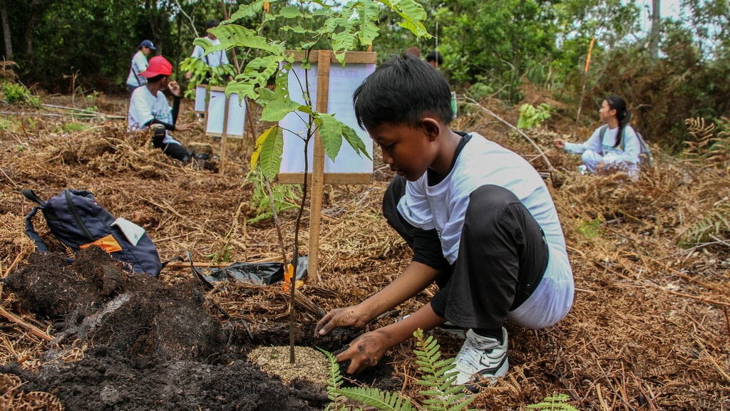 Aksi penanaman pohon di lahan gambut