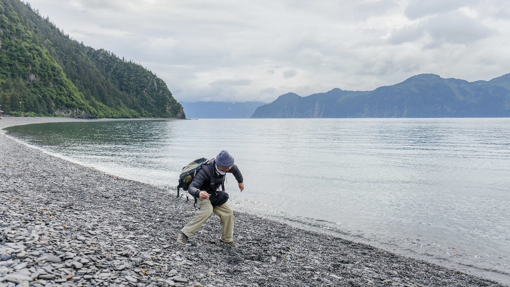 Pulau Fox Alaska