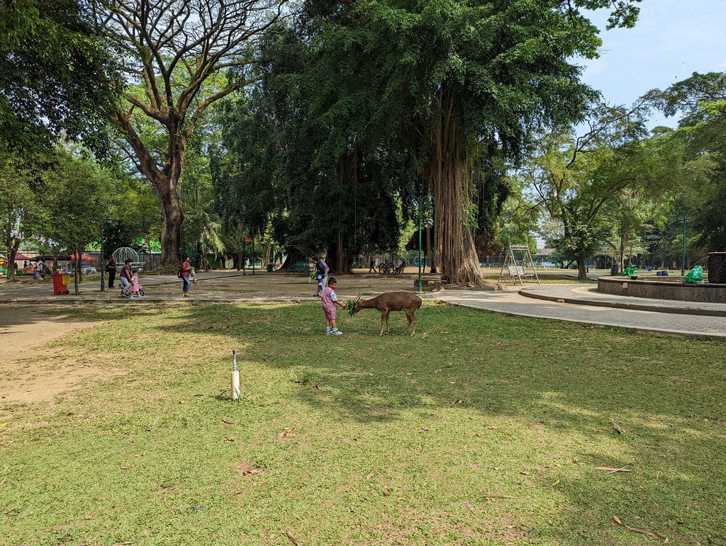 Taman Balekambang Surakarta