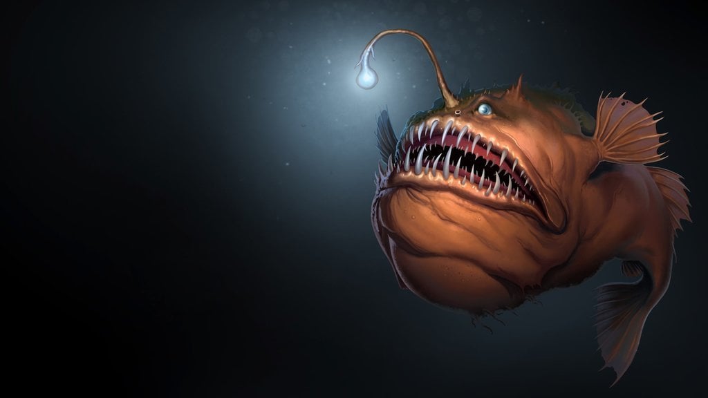 Anglerfish