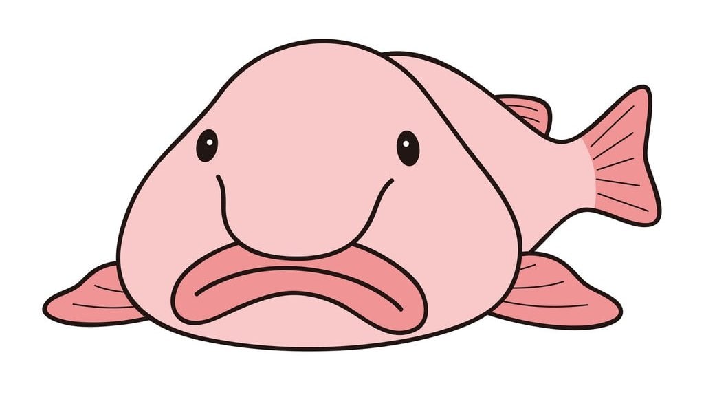 Blobfish