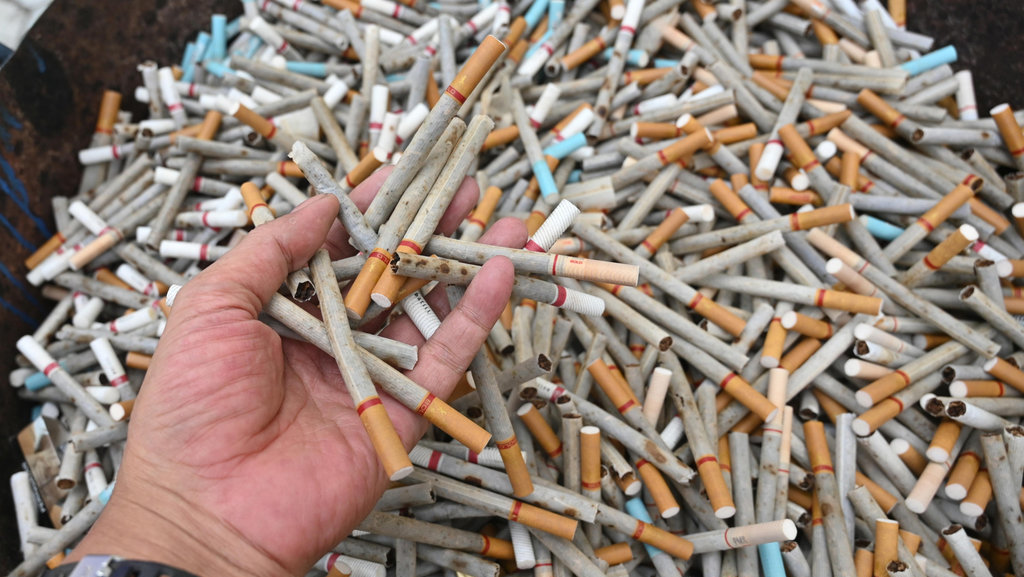 Petugas dari Bea Cukai Pantoloan menunjukkan rokok ilegal yang akan dimusnahkan di Kantor Bea Cukai Pantoloan, Palu, Sulawesi Tengah, Kamis (12/12/2024). ANTARA FOTO/Basri Marzuki/foc. Pemusnahan barang milik negara eks penindakan Bea Cukai