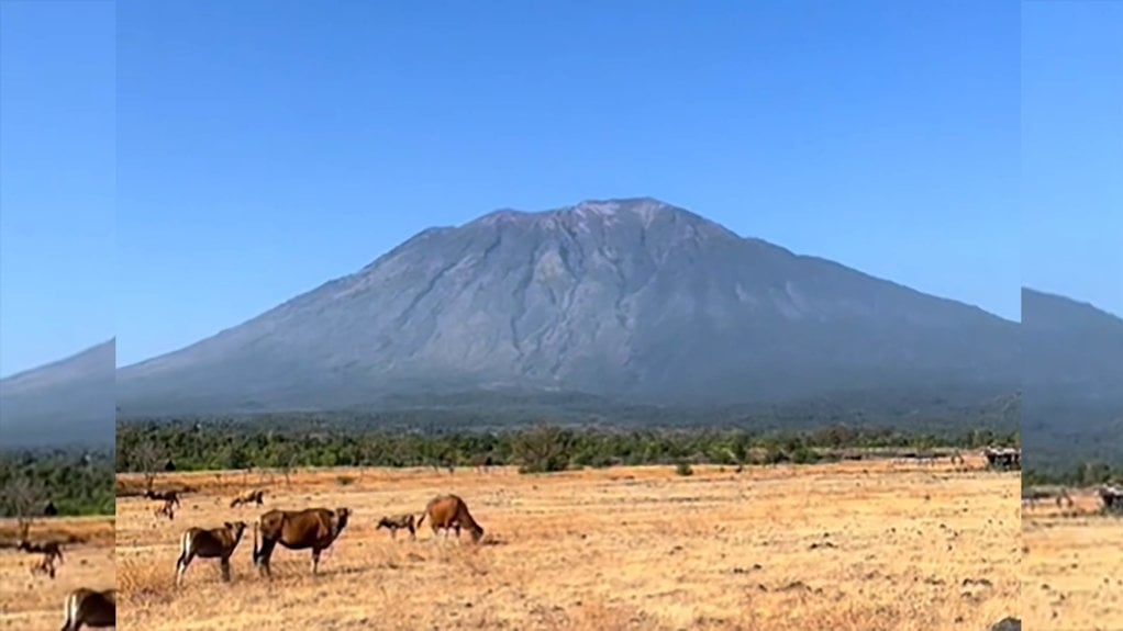 Savana Tianyar Bali