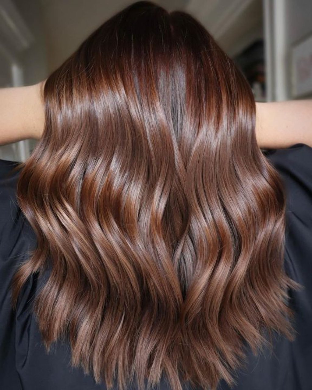 Warm Chocolate Brown