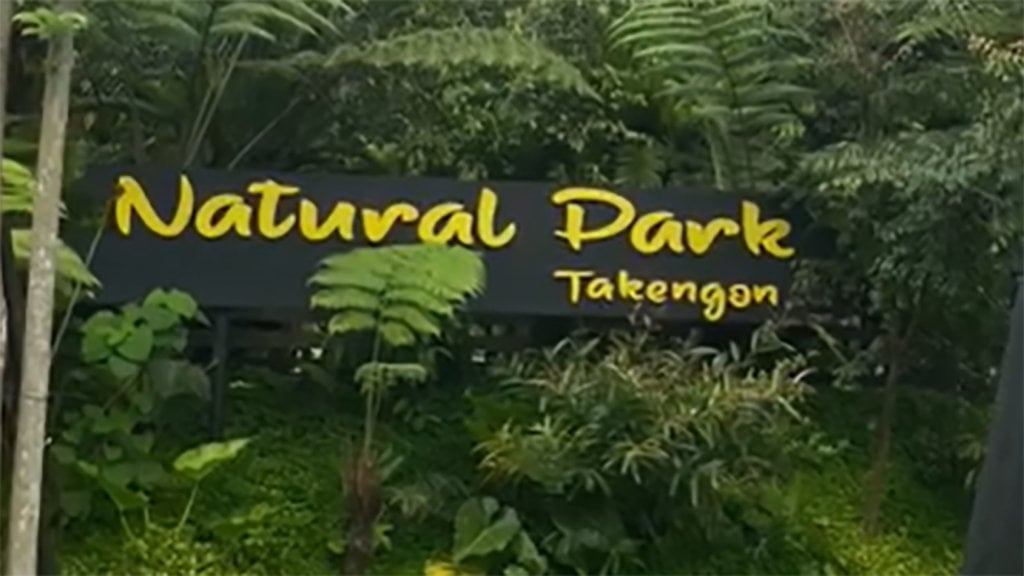 Natural park takengon