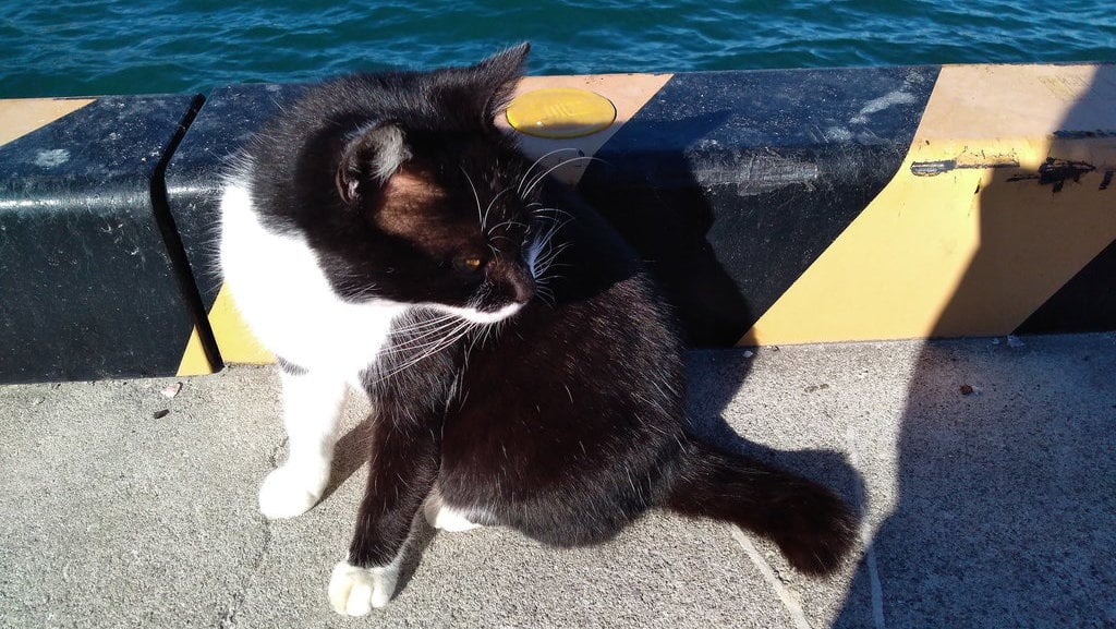 Pulau Tashirojima