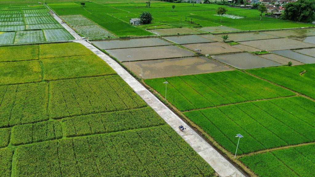 Pemanfaatan dana desa untuk pembangunan infrastruktur pertanian 