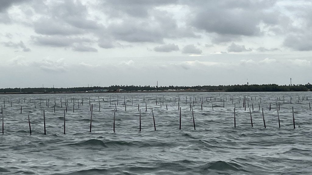 Pembongkaran Pagar Laut Tangerang