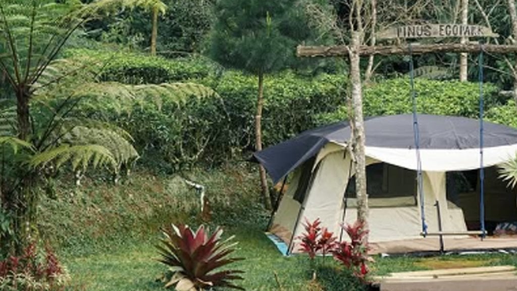 Pinus Eco Park Glamping Ground 