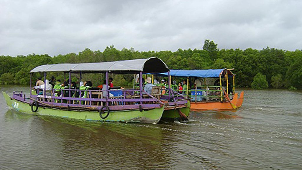 Hutan Mangrove Bedul Banyuwangi