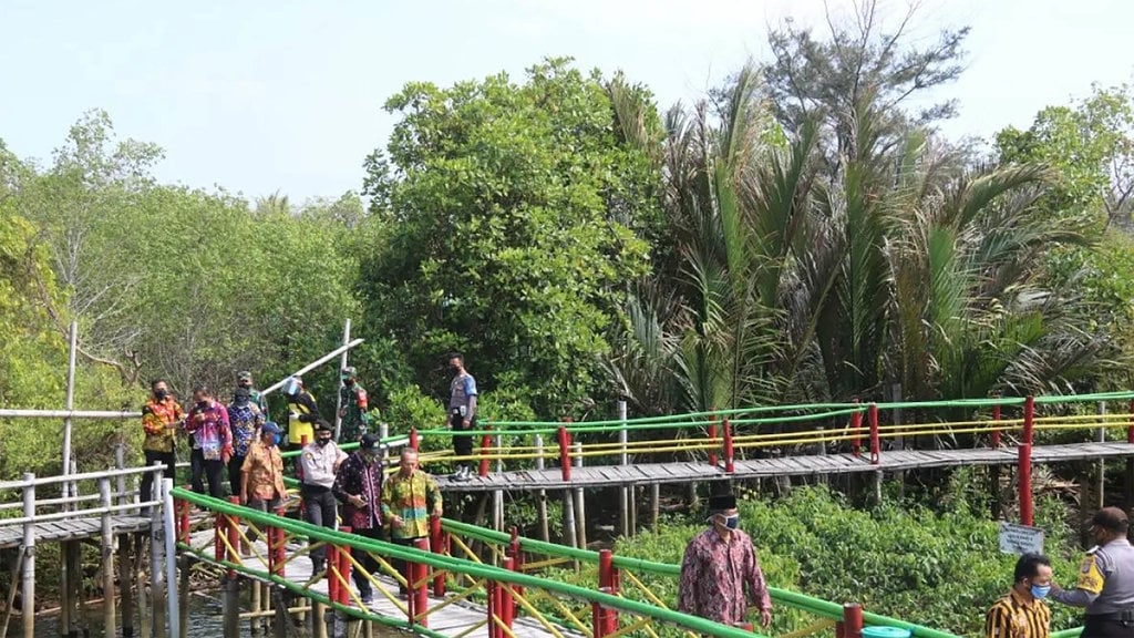 Hutan Mangrove Kulonprogo Yogyakarta