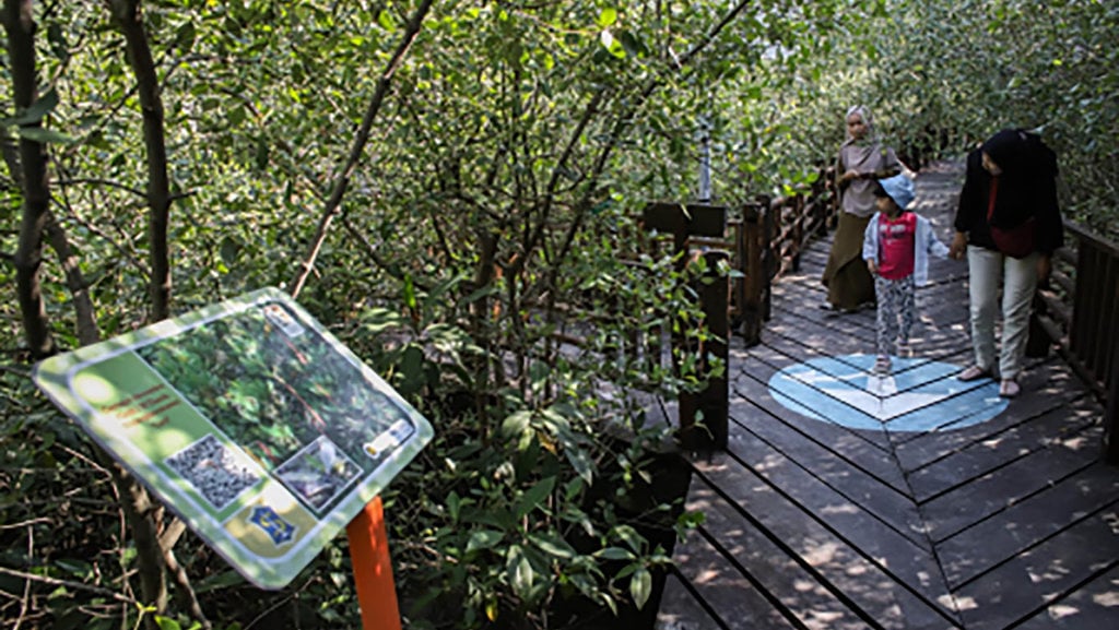 Kebun Raya Mangrove Gunung Anyar Surabaya