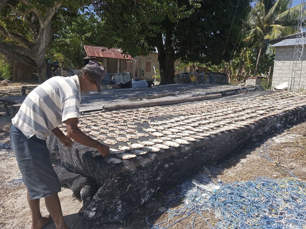 Menjemur Ikan di Pulau Morotai