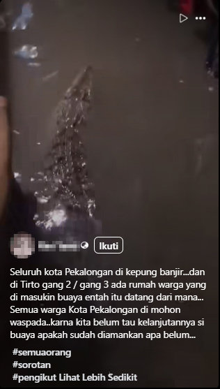 Foto Periksa Fakta Buaya saat banjir