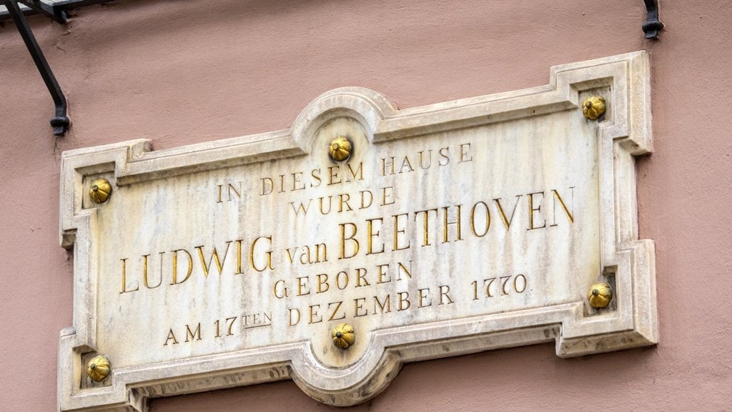 Tempat Kelahirannya Ludwig Van Beethoven