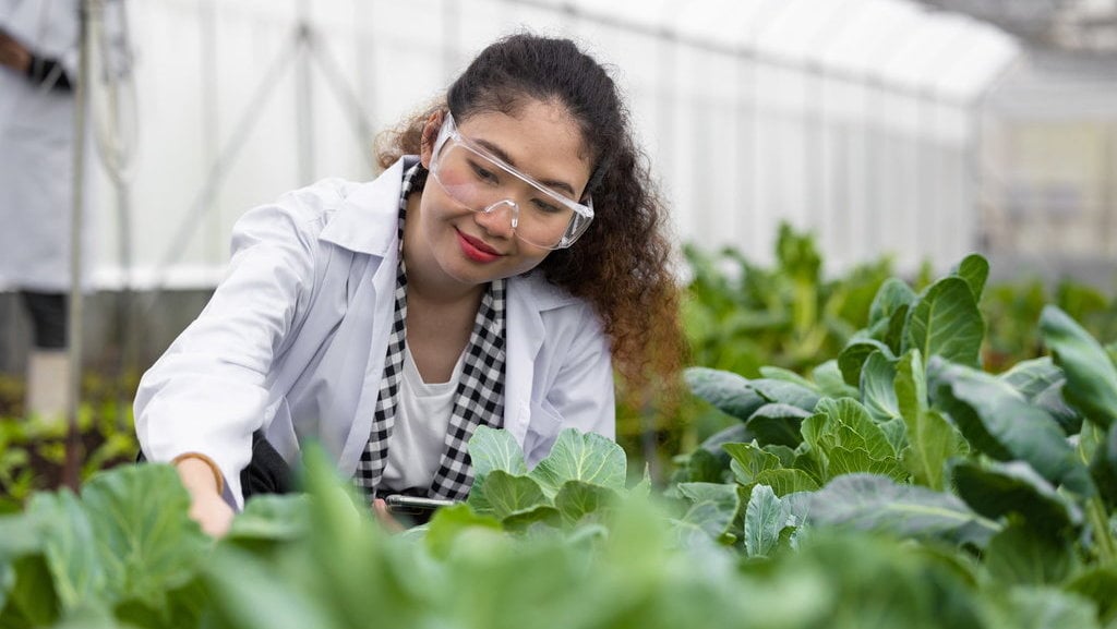 Ilustrasi Jurusan Agronomi