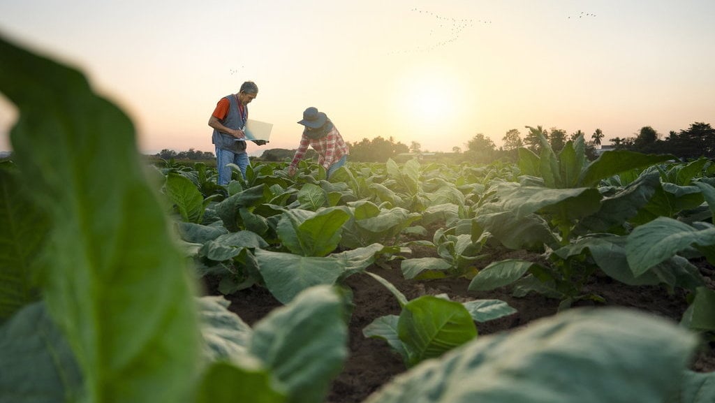 Ilustrasi Jurusan Agronomi