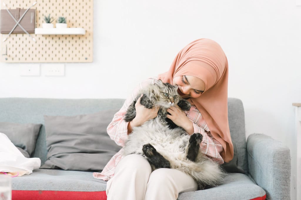 Ilustri kucing dan pecinta kucing. foto/istockphoto Kucing Keluarga Islami