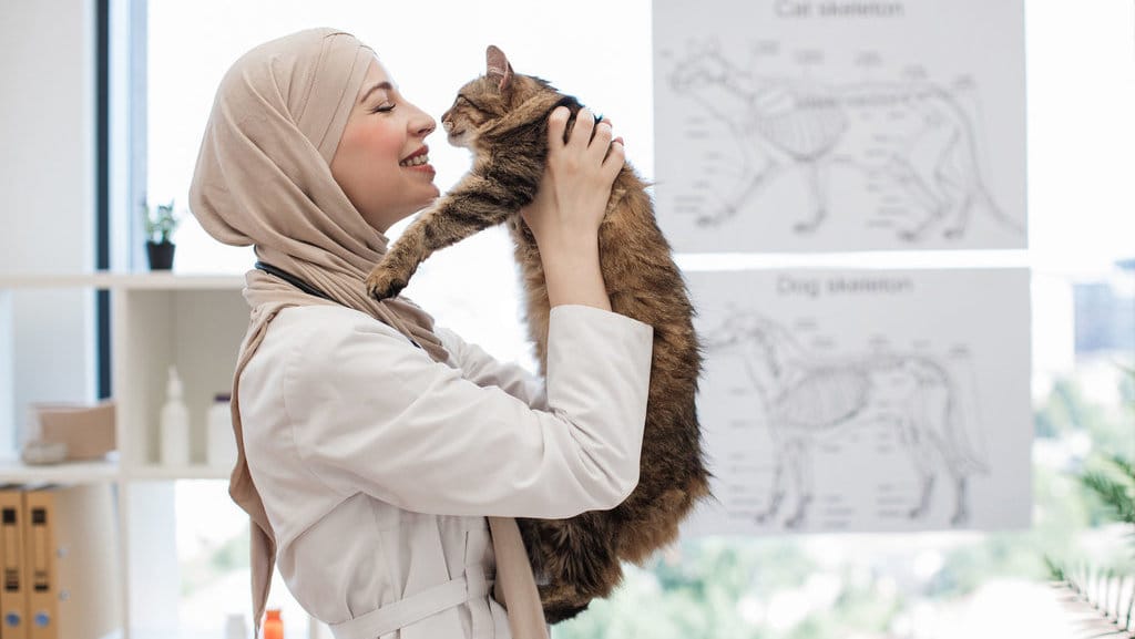 Kucing Keluarga Islami. foto/istockphoto Kucing Keluarga Islami