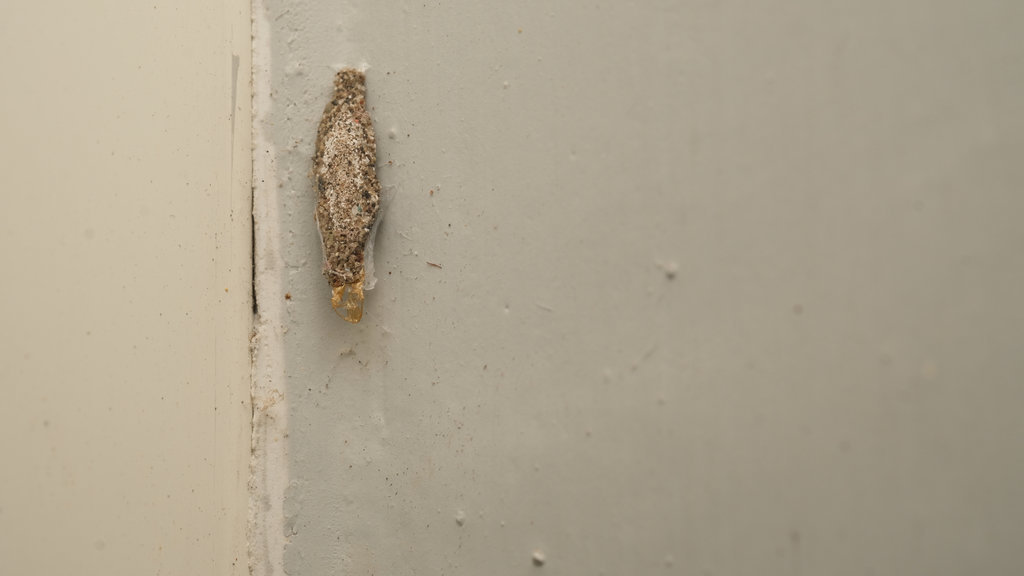 Kamitetep. foto/istockphoto Kamitetep