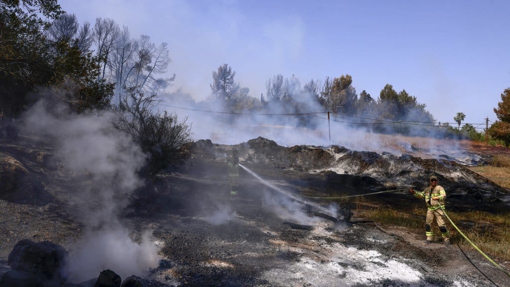kebakaran hutan israel