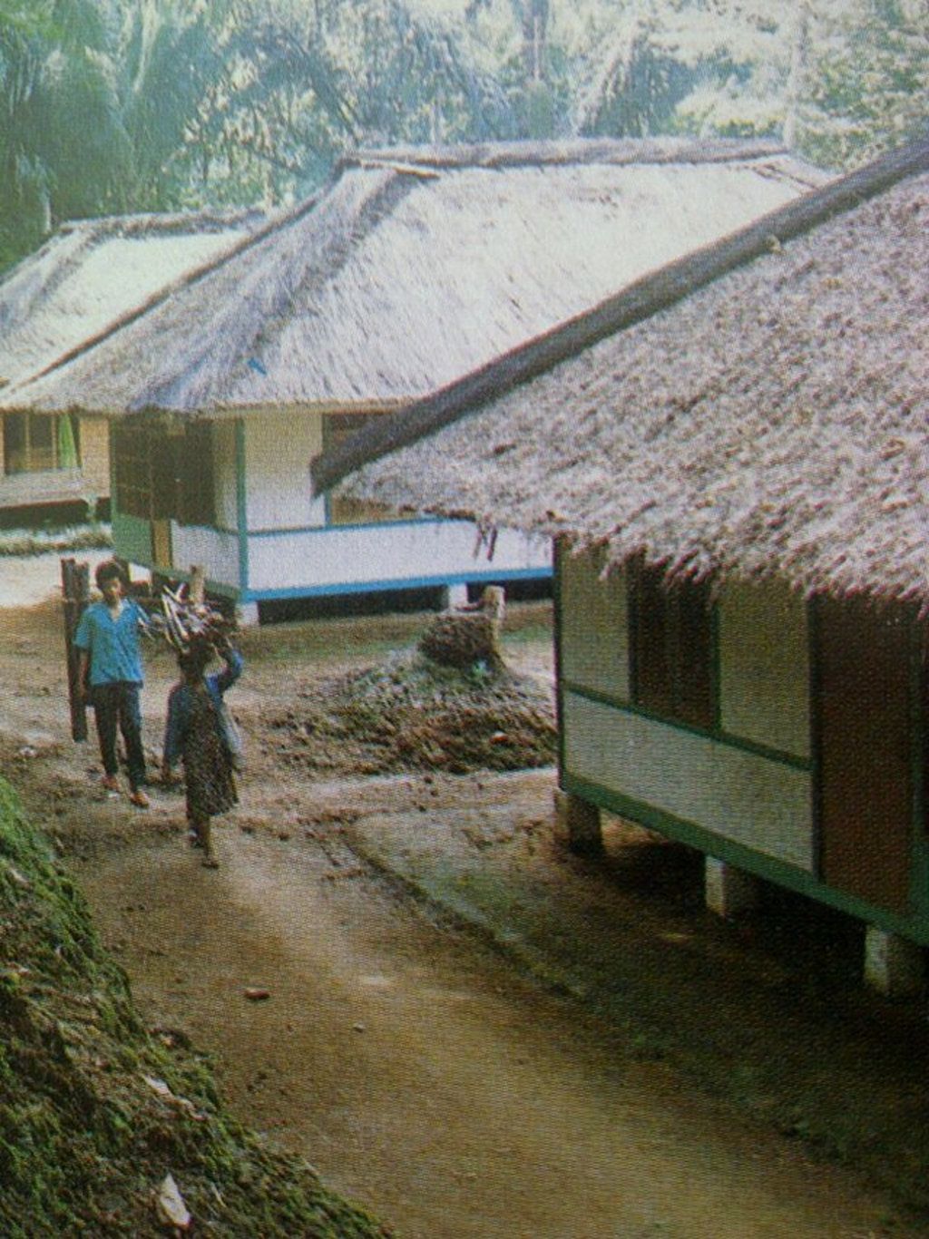 Rumah Bambu Tahan Gempa. (FOTO/steemitimages.com) Gambar Kearifan Lokal Jawa Barat: Rumah Bambu Tahan Gempa