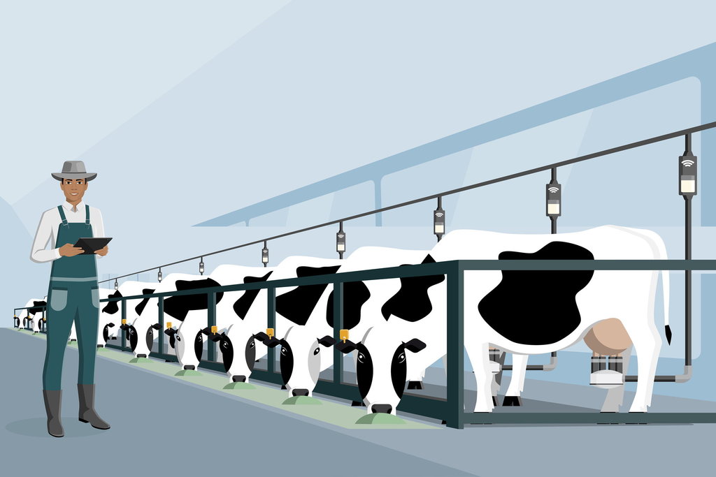 ilustrasi domestikasi auroch