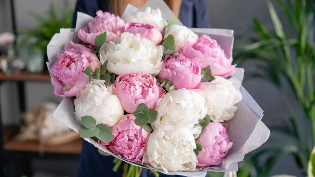 Buket Bunga Peony. FOTO/iStockphoto Buket Bunga Peony