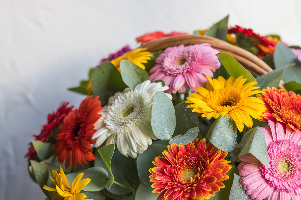 Buket Bunga Krisan. FOTO/iStockphoto Buket Bunga Krisan