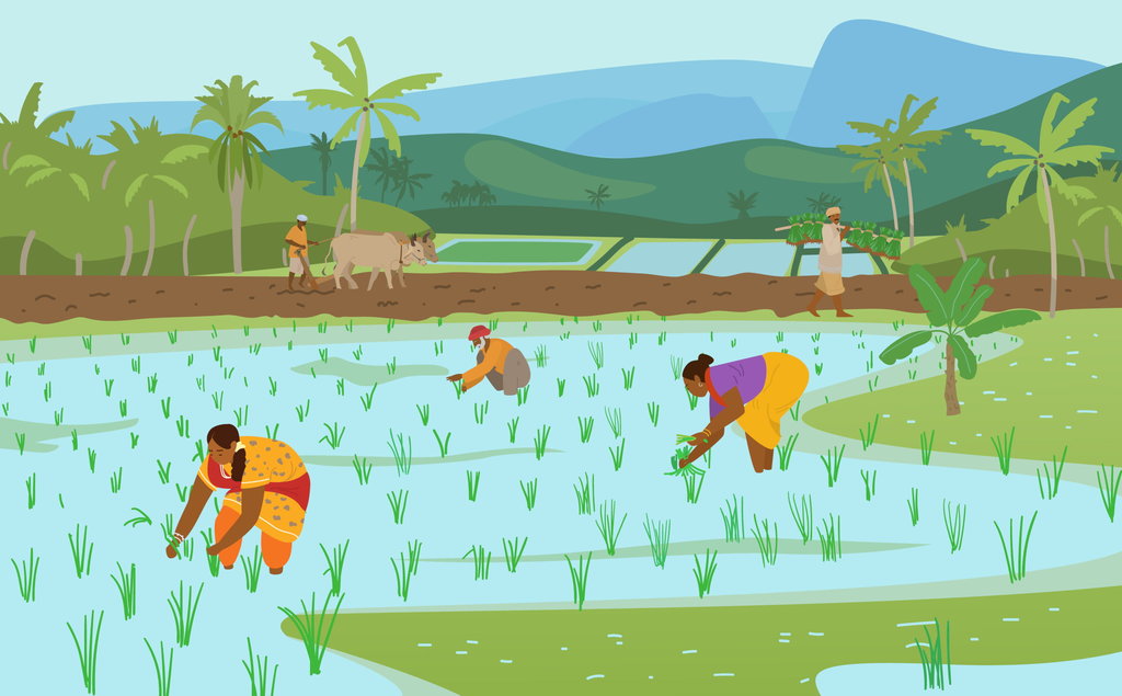 Ilustrasi Ketahanan Pangan Nasi