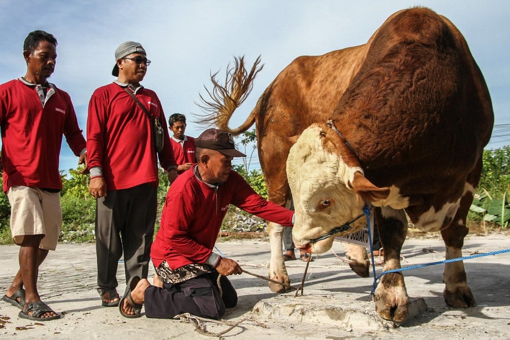 Kapan Idul Adha 2026 & Apakah Muhammadiyah-NU Beda Hari?