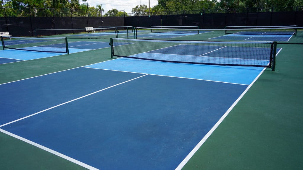 Ilustrasi olahraga pickleball