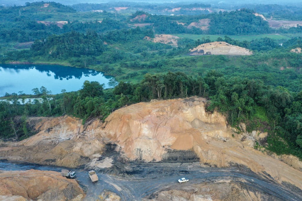 Deforestasi di Indonesia tembus 175,4 ribu hektare pada 2024