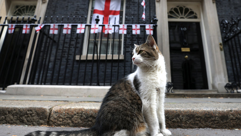 Larry The Cat 