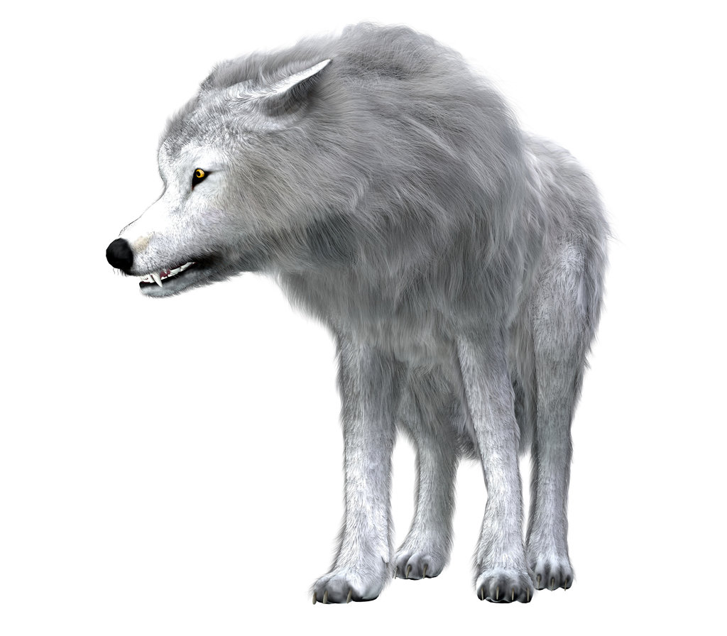 Ilustrasi dire wolf. FOTO/iStockphoto Ilustrasi dire wolf