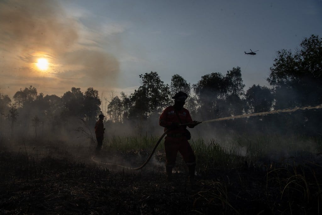 Sumsel Waspadai Karhutla di 12 Daerah akibat Kemarau Panjang