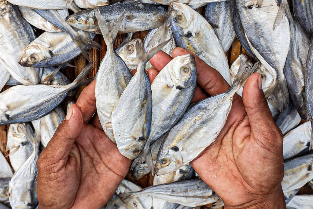 Ancaman Mutasi DNA di Balik Gurihnya Ikan Asin