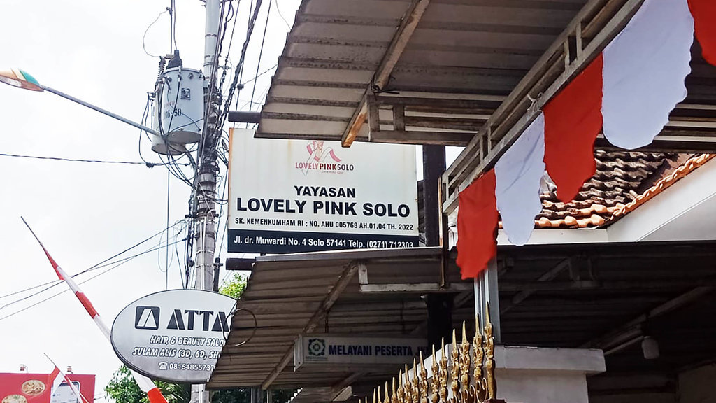  Lovely Pink Solo