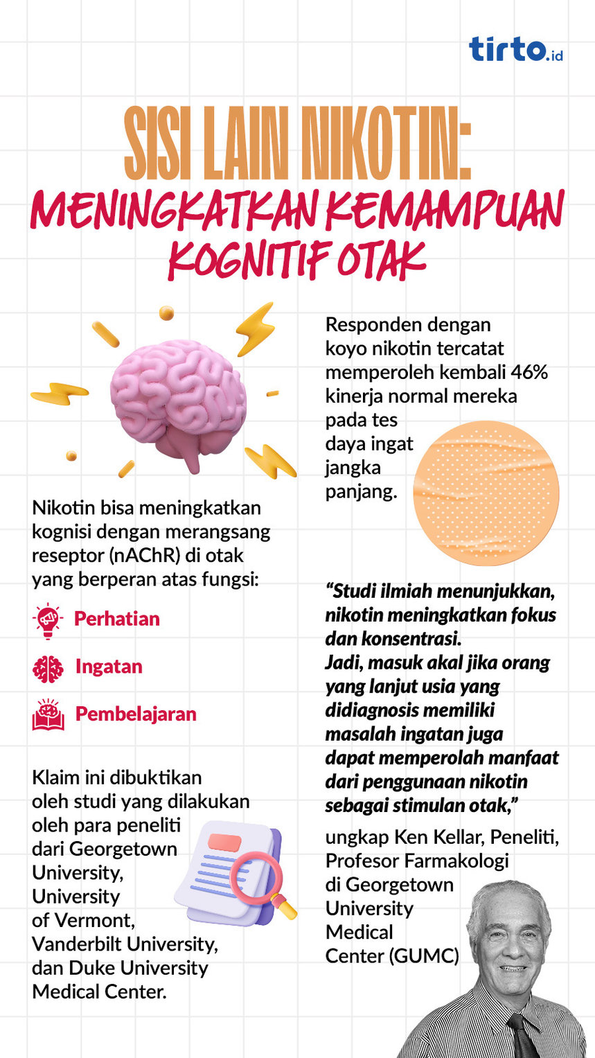 Infografik Sisi Lain Nikotin